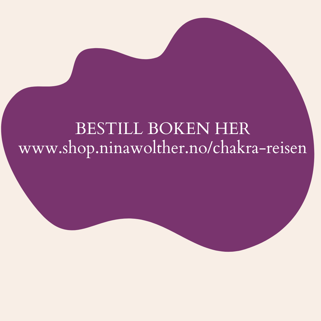 Chakra-reisen – den fysiske gavepakken (begrenset opplag)
