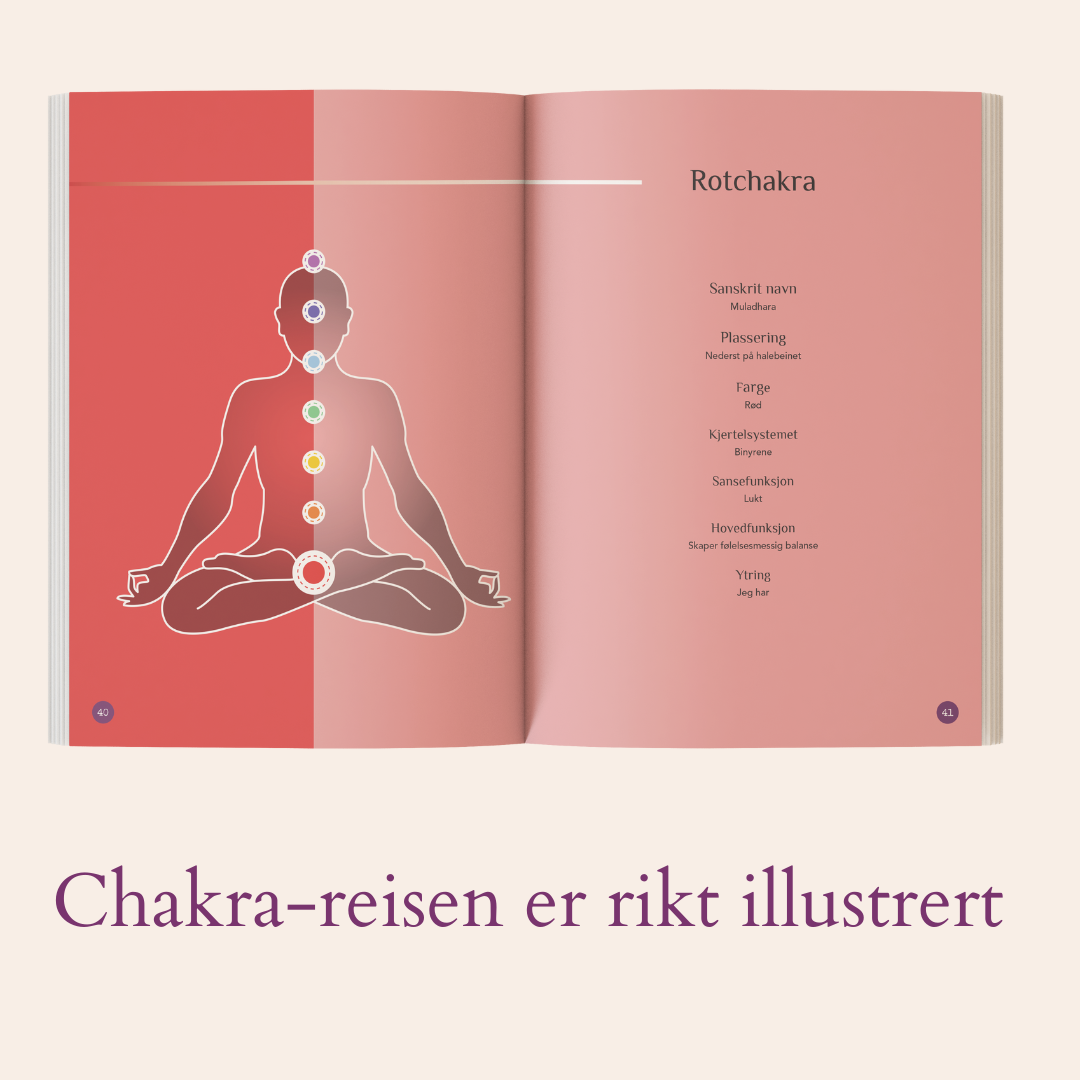Chakra-reisen – den fysiske gavepakken (begrenset opplag)