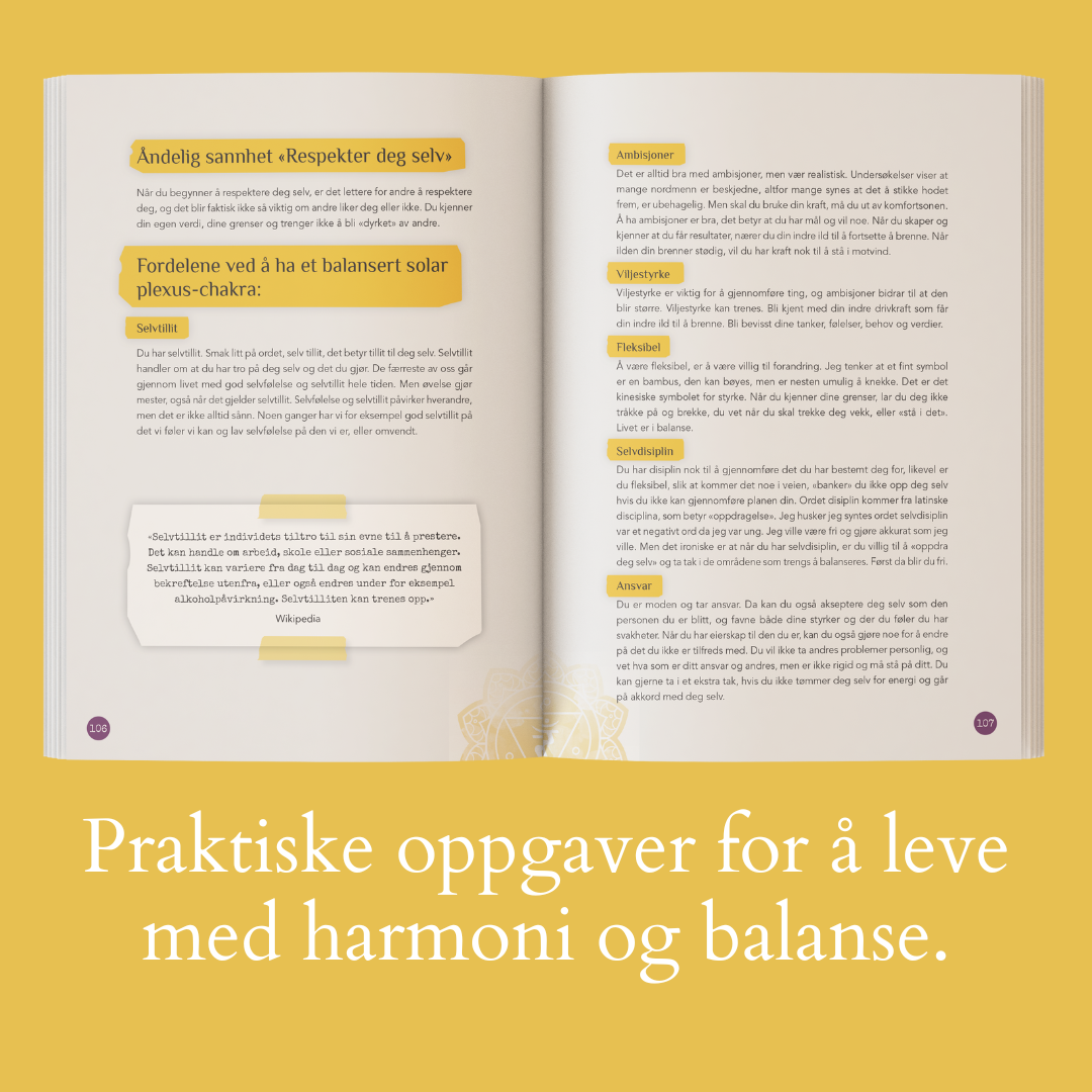 Chakra-reisen – den fysiske gavepakken (begrenset opplag)