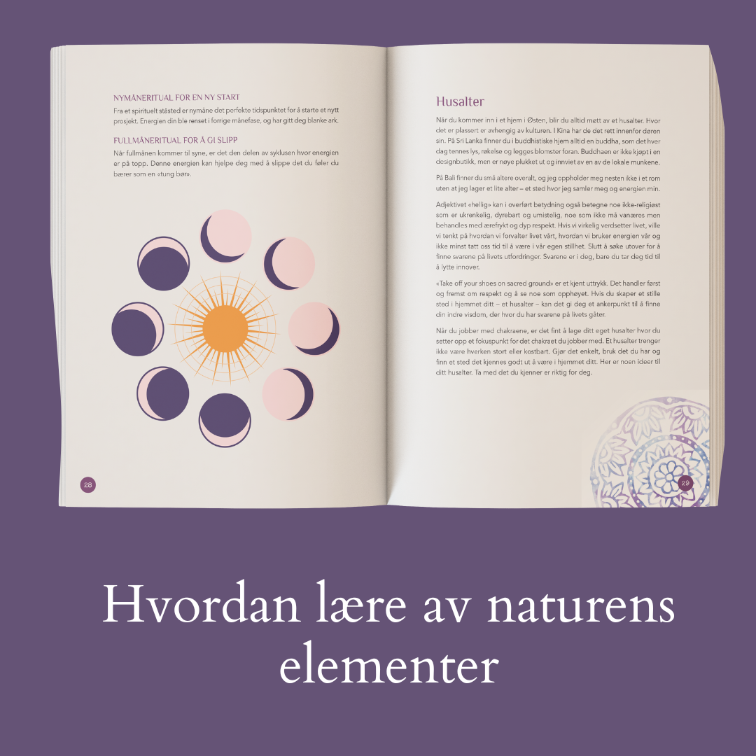 Chakra-reisen – den fysiske gavepakken (begrenset opplag)