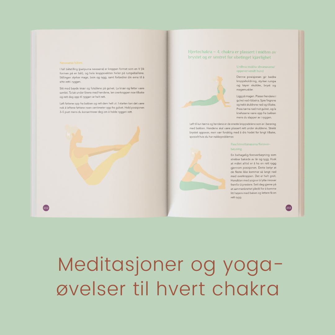Chakra-reisen – den fysiske gavepakken (begrenset opplag)